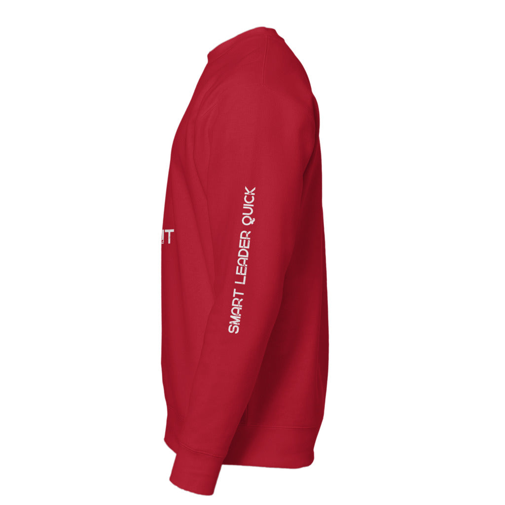 left sleeve_70
