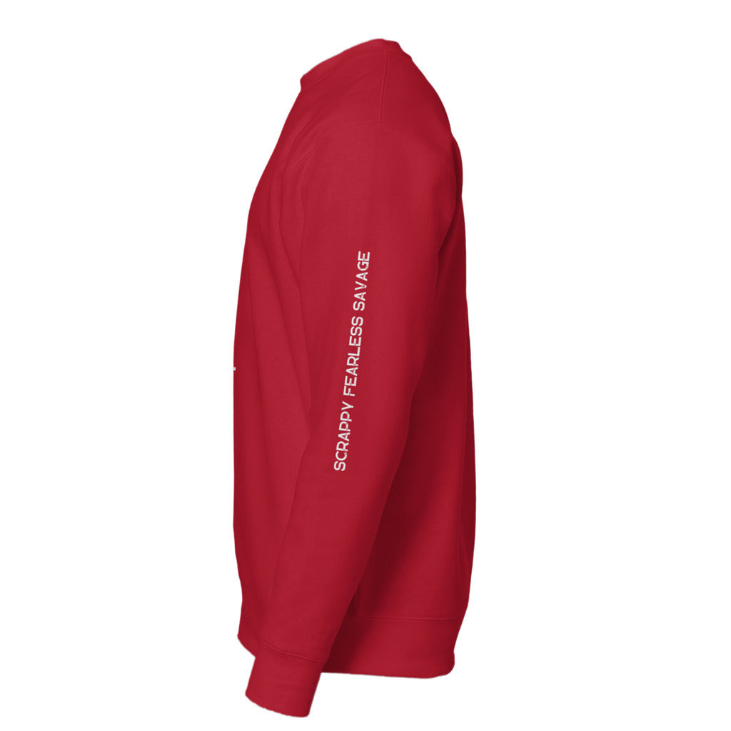 left sleeve_70