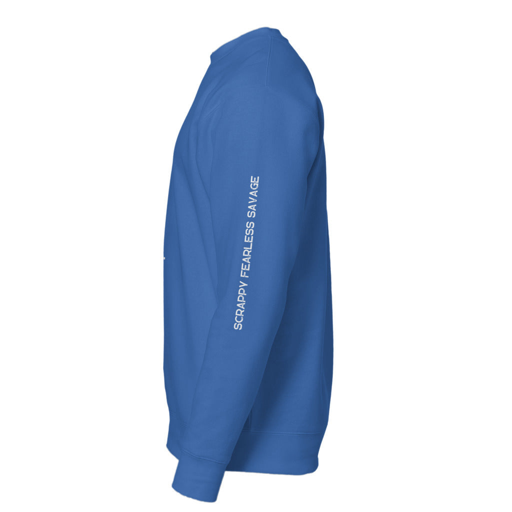 left sleeve_71